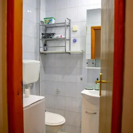 公寓 Silver Zarkovo